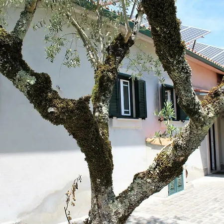 Casa Da Maria Moca